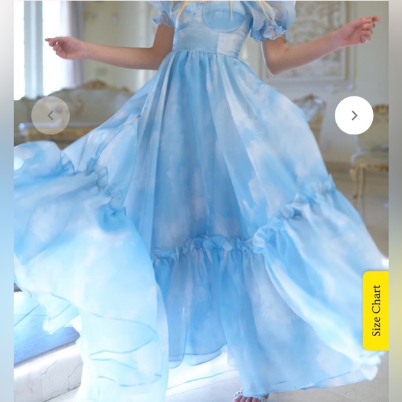 NWOT SELKIE Head in the Clouds Ritz Gown M/L Full Cup - Picture 4 of 5